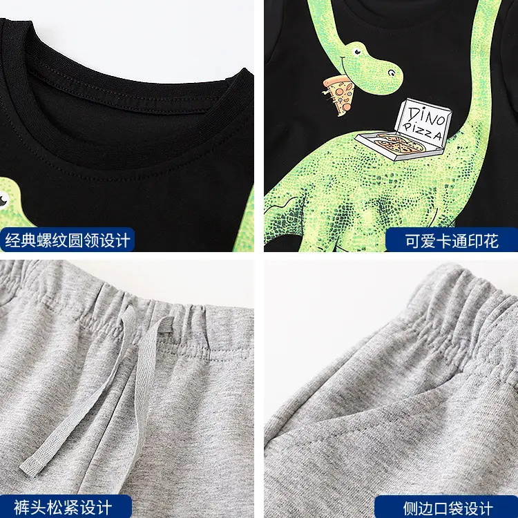 European & American Boys T-Shirt Shorts Set Dinosaur Print - Image 11