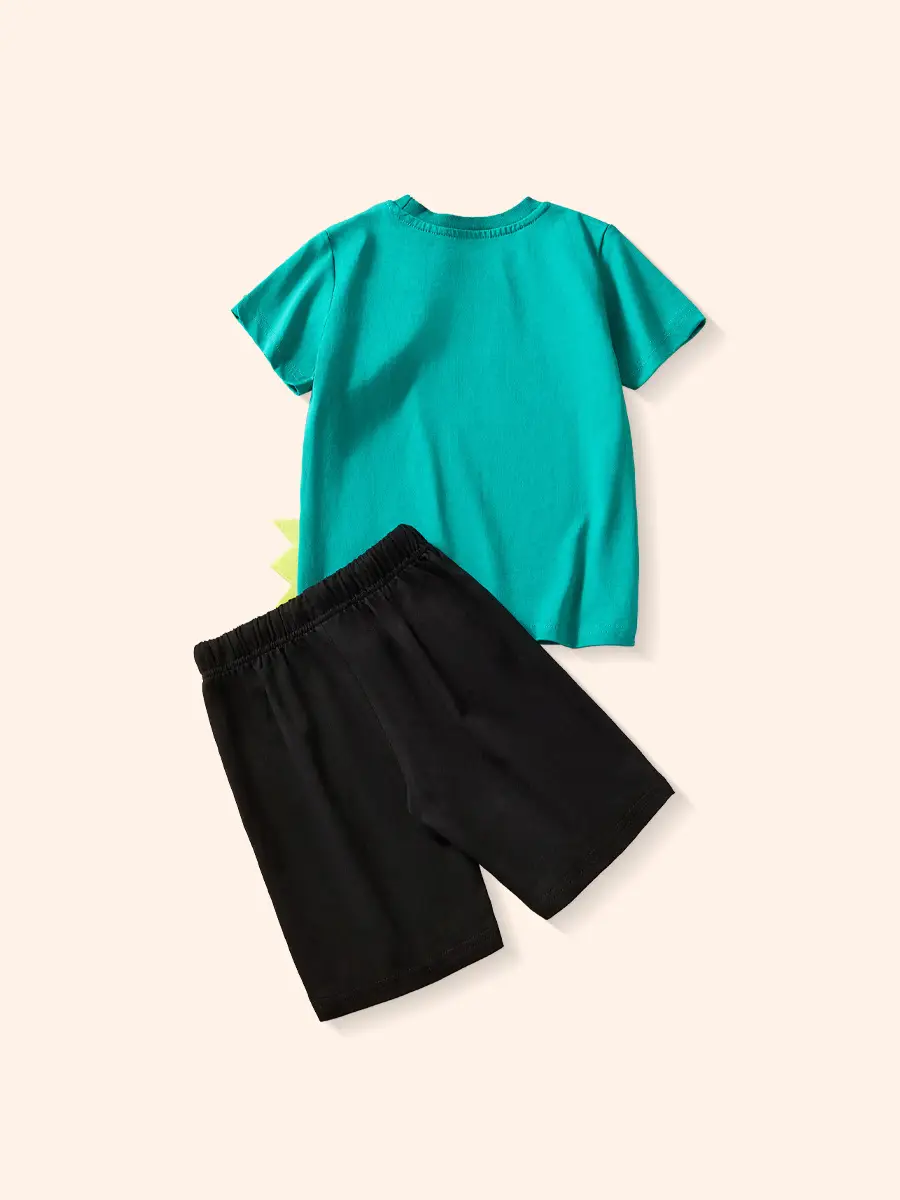 Boys T-Rex Graphic Shorts Set Black Silver Summer