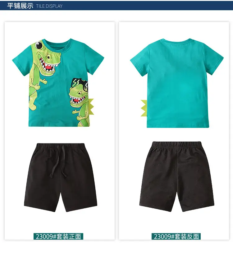 Cute Dinosaur Print Boys 2-Piece Set — feature 15