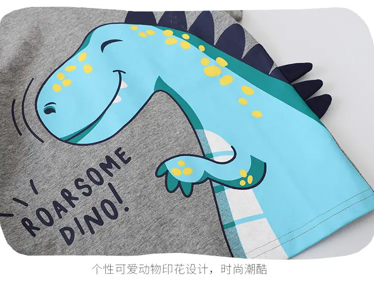 Cute Dinosaur Print Boys 2-Piece Set — feature 19