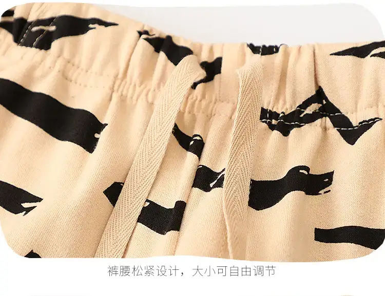 Cute Dinosaur Print Boys 2Pc Summer Wear Set — feature 21