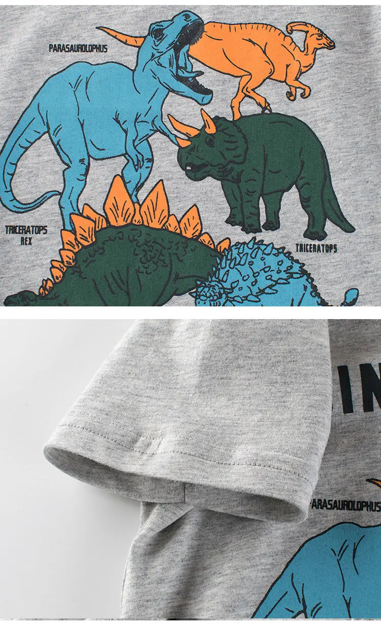 Kids Dinosaur T-Shirt Grey Short Sleeve 2026 — feature 7