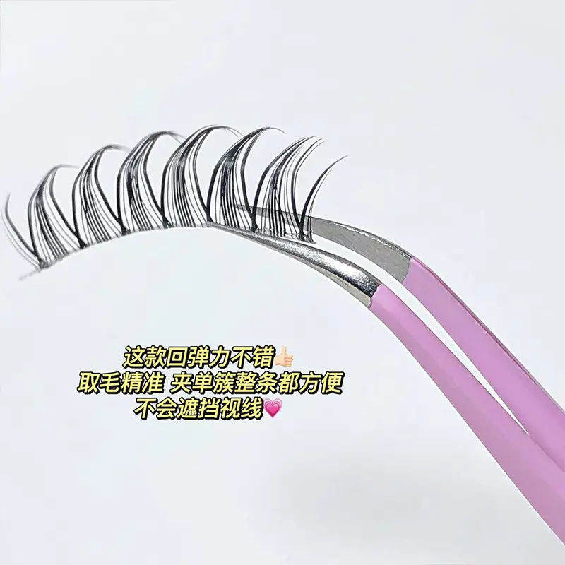 蝴蝶夹