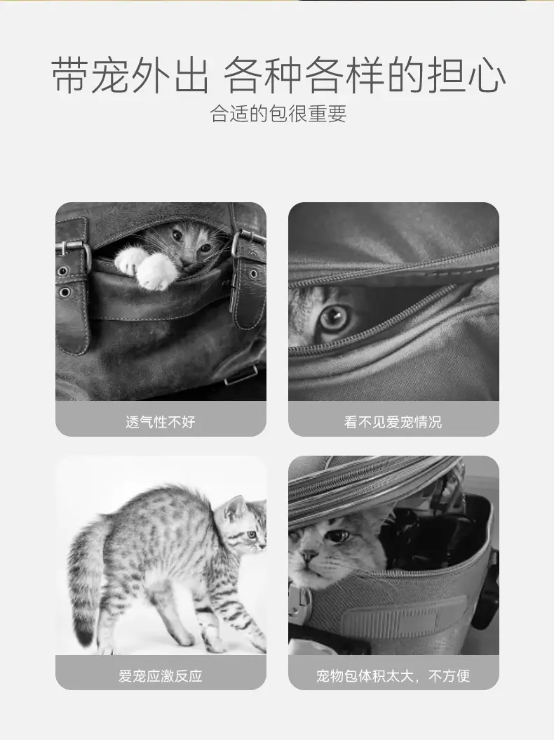 Cute Bear Hat Pet Bag Crossbody Portable Bag — feature 4