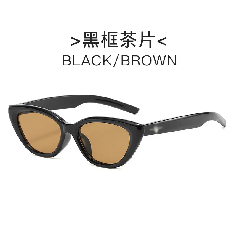 Women Cat Eye Sunglasses European American Retro Small Frame - Image 5