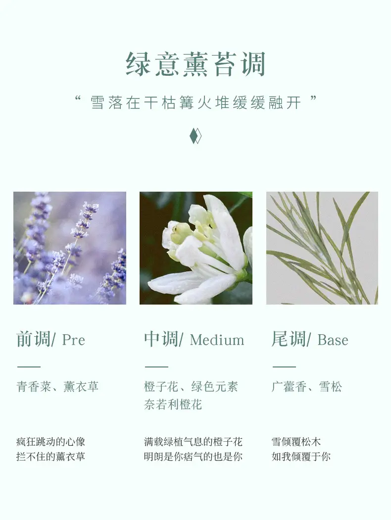 Ice Elf Women's Perfume Fresh and Long-Lasting Light Fragrance Floral and Fruity Fragrance Douyin Popular Vietnamese Perfume Wholesale — feature 11