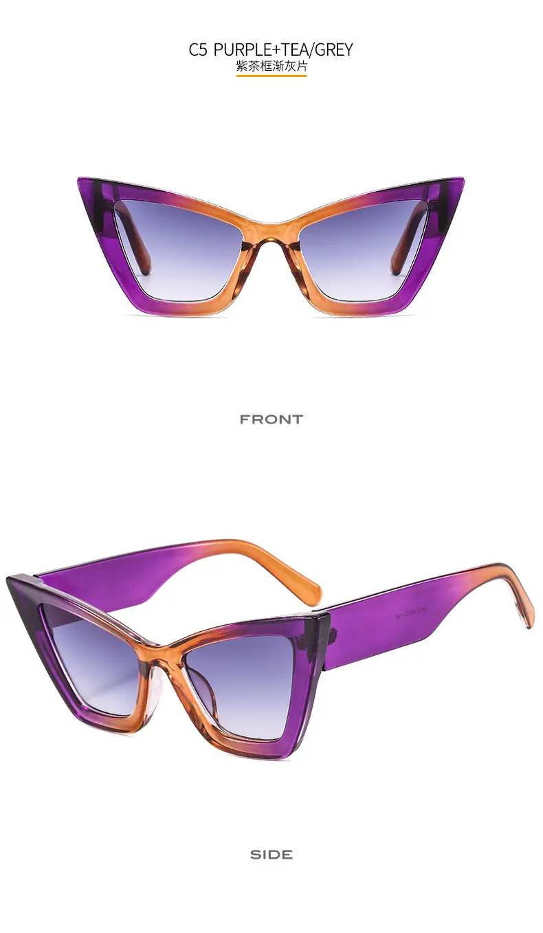 Purple Cat-Eye Sunglasses for Women Street Party Fashion β feature 11
