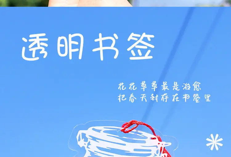 干花详情_05.jpg