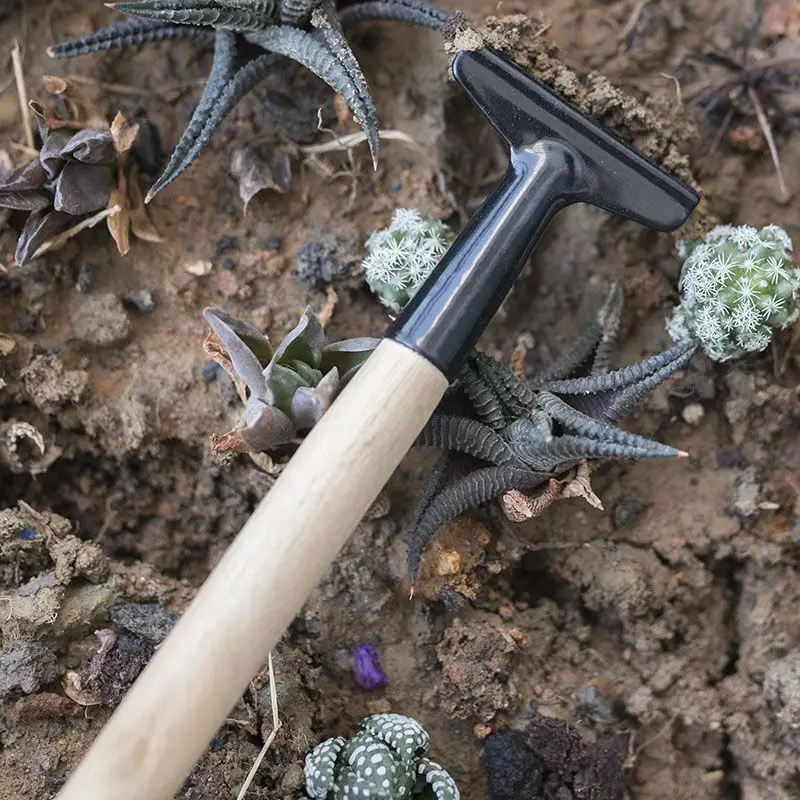 Three-Piece Mini Gardening Tool Set: Small Shovel/Rake/Spade for Planting Flowers and Succulents