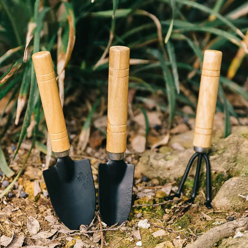 Three-Piece Mini Gardening Tool Set: Small Shovel/Rake/Spade for Planting Flowers and Succulents