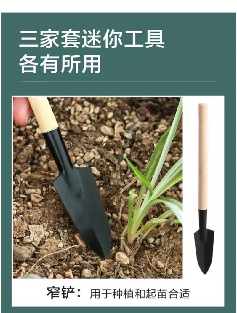 Three-Piece Mini Gardening Tool Set: Small Shovel/Rake/Spade for Planting Flowers and Succulents — feature 16