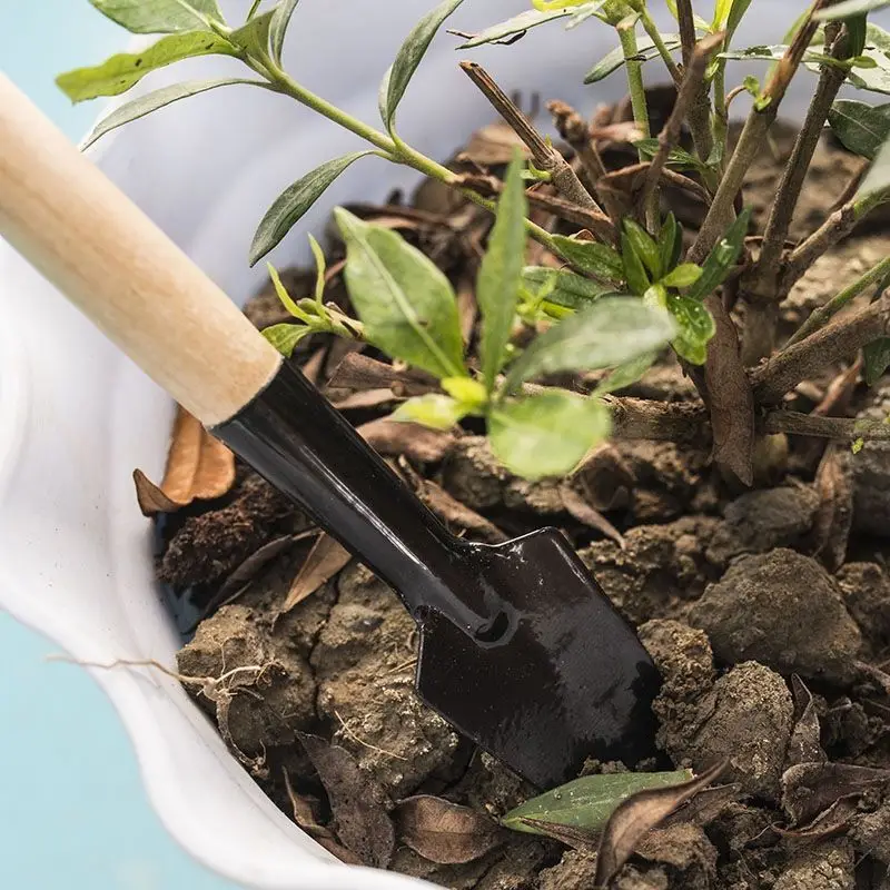 Three-Piece Mini Gardening Tool Set: Small Shovel/Rake/Spade for Planting Flowers and Succulents — feature 17