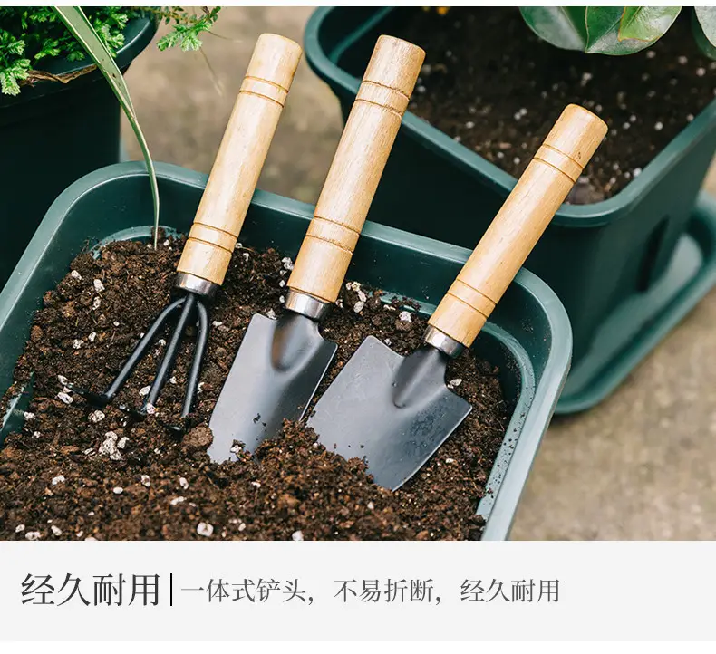 Three-Piece Mini Gardening Tool Set: Small Shovel/Rake/Spade for Planting Flowers and Succulents — feature 2