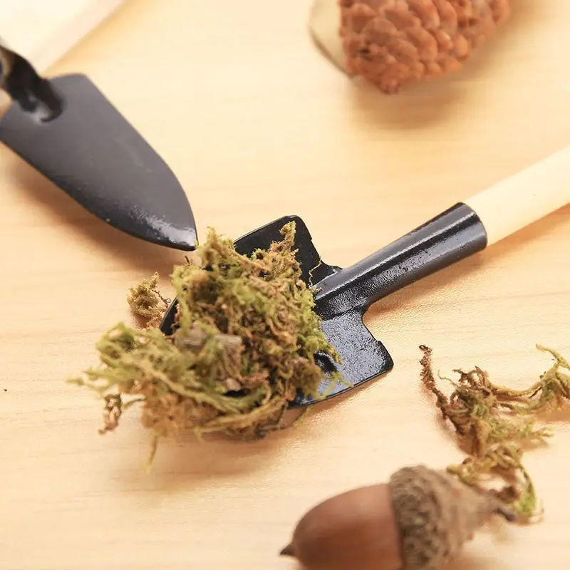 Three-Piece Mini Gardening Tool Set: Small Shovel/Rake/Spade for Planting Flowers and Succulents — feature 7
