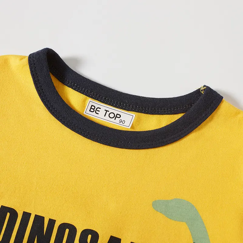 Kids Dinosaur Print T-Shirt Gray 1982