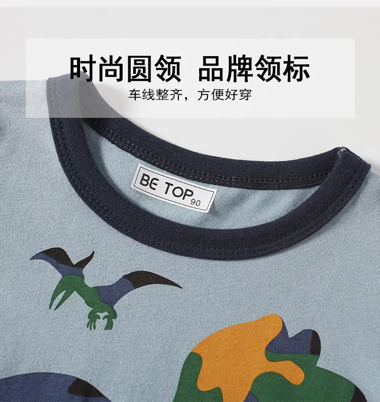 Boys Dino Saur T-Shirt Summer 2026 — feature 9