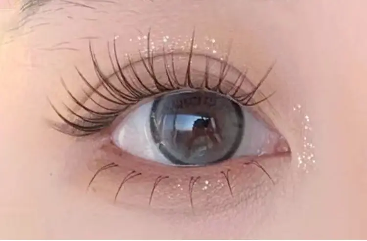 Cute Ciliary Eyelashes Black Terrier 10 Rows — feature 1