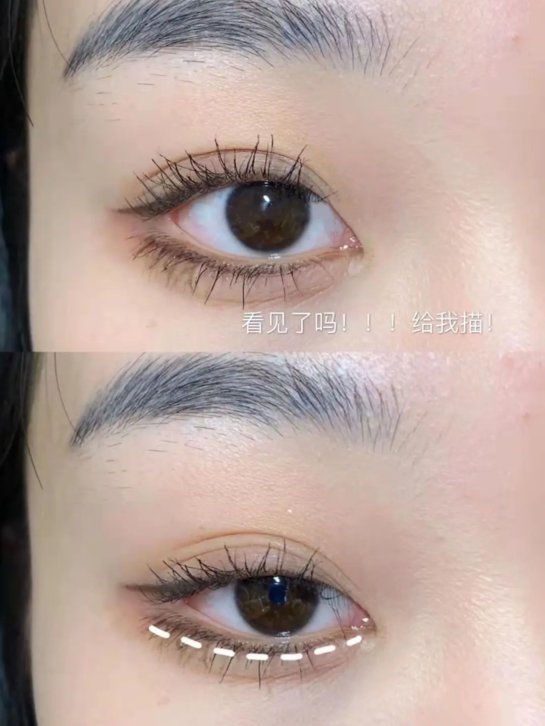Bevel Blade Eyeliner Brush for Precision Application — feature 8