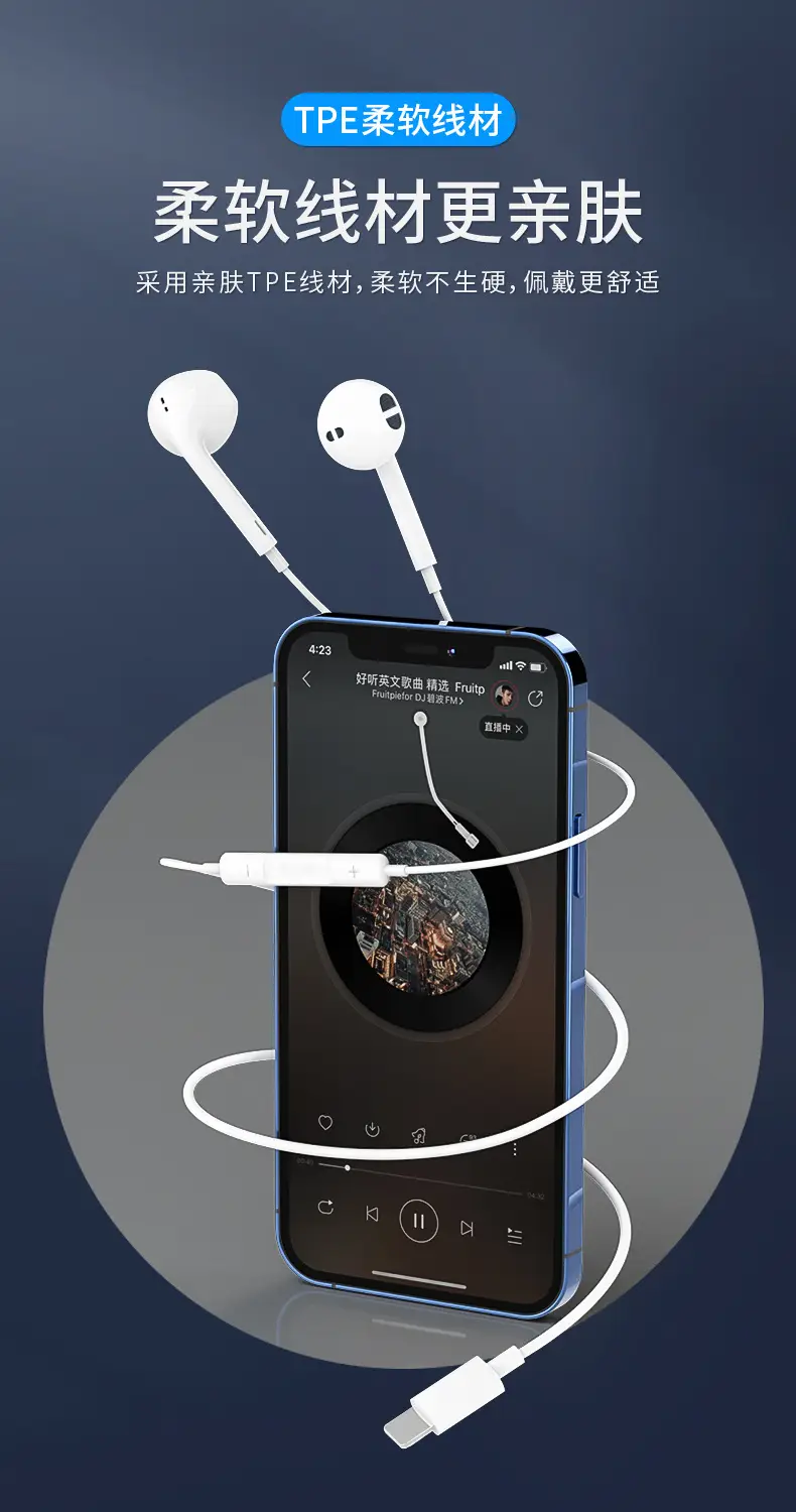Wireless Earbuds with Lightning & Type-C Ports — feature 4