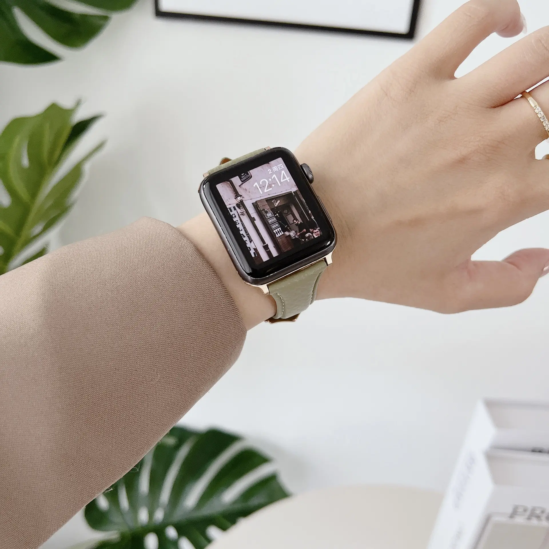 Apple Watch 10/987 Leather Strap Small Waist — feature 4