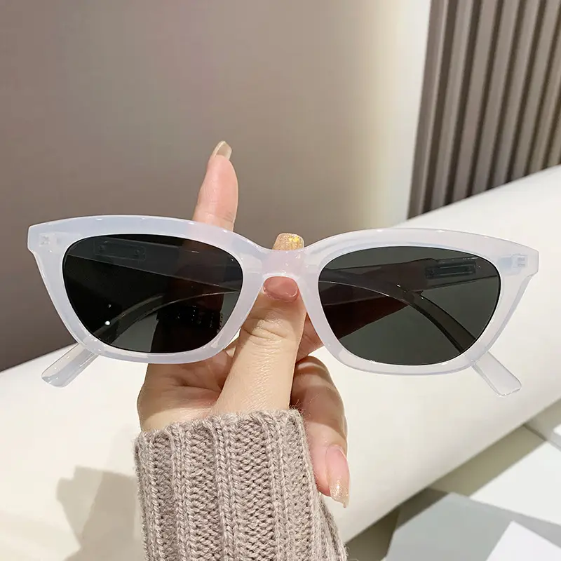European Cat-Eye Sunglasses for Men Women Small Frame — feature 12