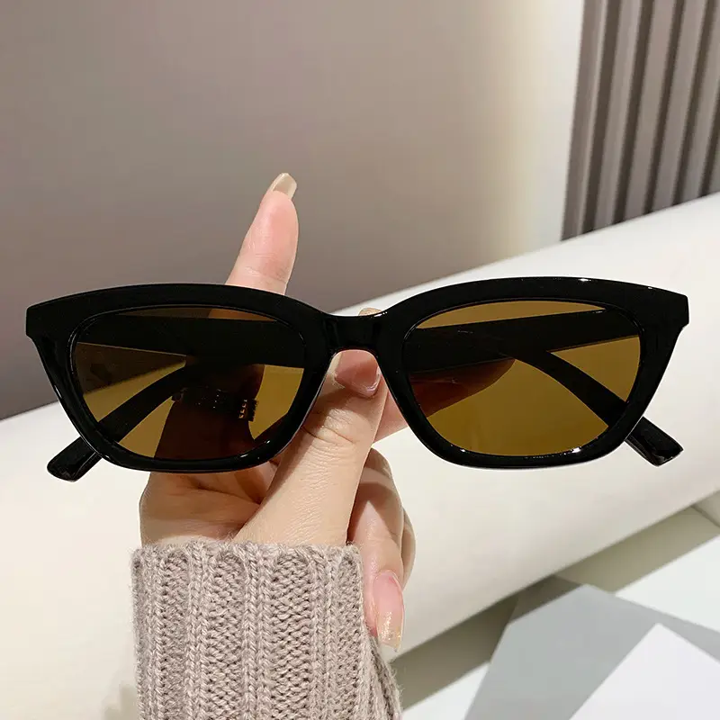 European Cat-Eye Sunglasses for Men Women Small Frame — feature 16