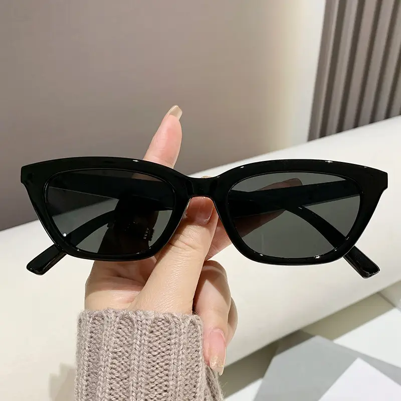 European Cat-Eye Sunglasses for Men Women Small Frame — feature 17