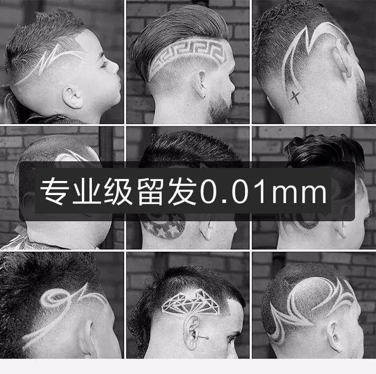 Electric Hair Clipper with 4 Blades & Lubricating Oil — feature 7