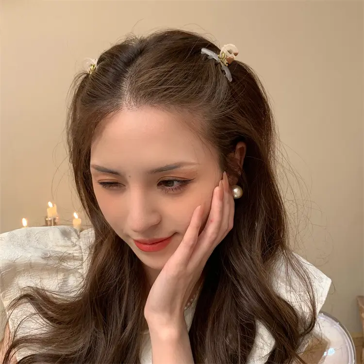High-end Princess Hair Clips for Women 2023 — feature 17