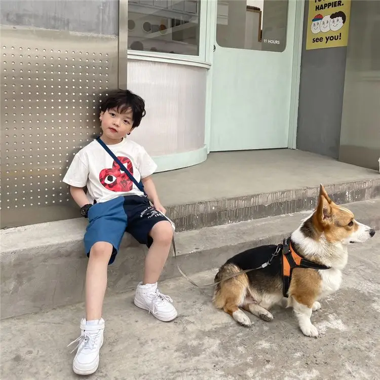 Boys Cotton Cartoon T-Shirt Navy Blue Summer Wear — feature 13