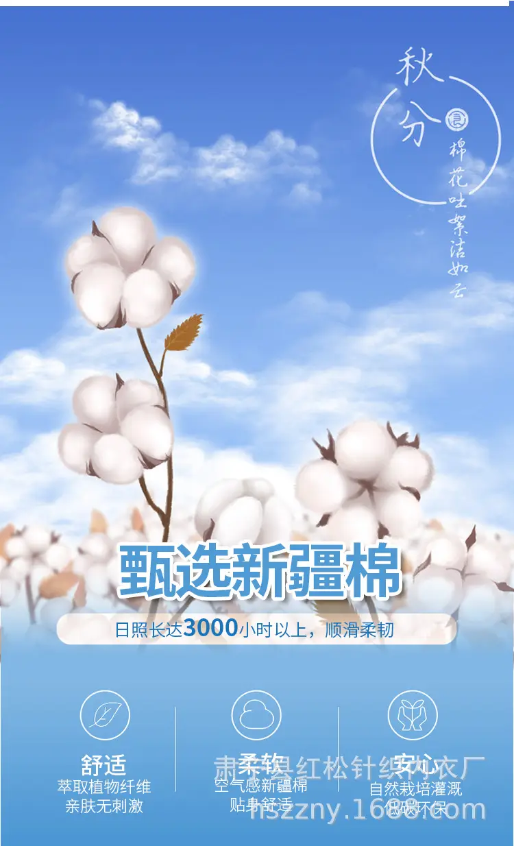 未标题-1_11.jpg
