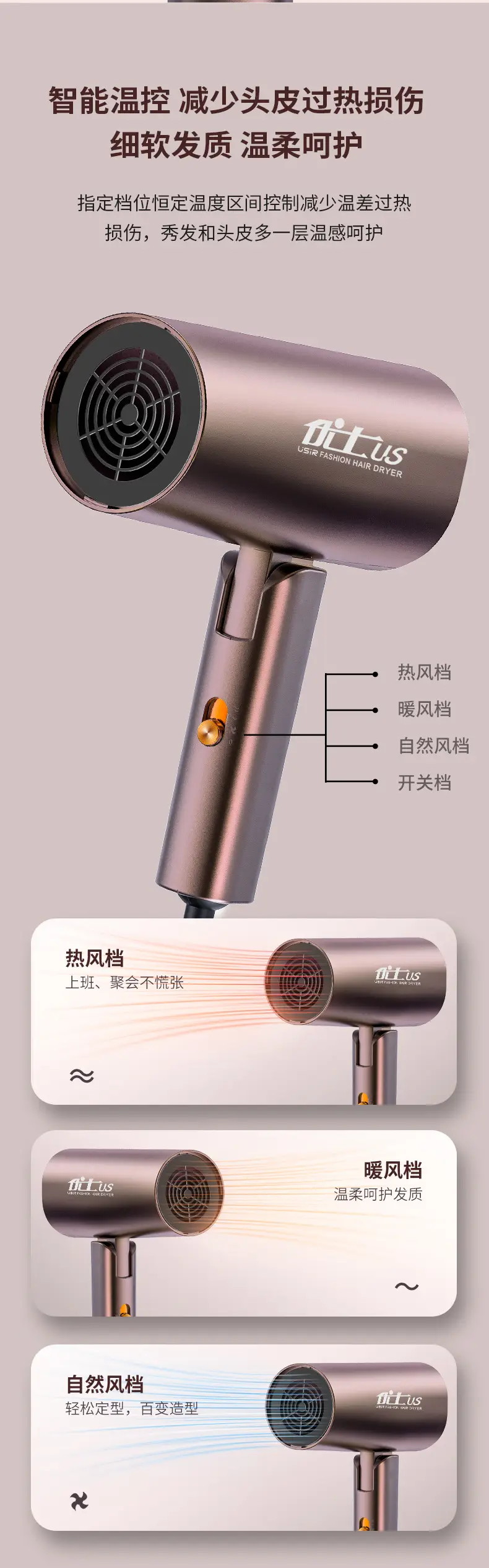 Yongri Electric Hair Dryer Bronze High Power — feature 24