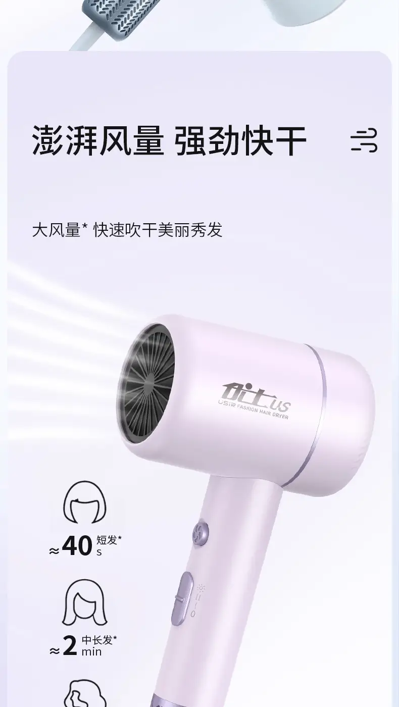 Yongri Electric Hair Dryer Bronze High Power — feature 7