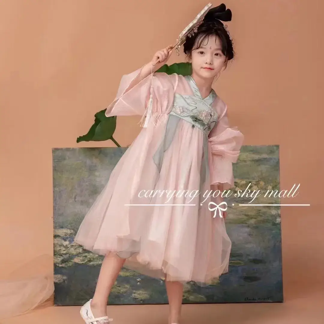24 Summer New Nine-Quality Hanfu Embroidery Girl Costume with Shawl - Image 4