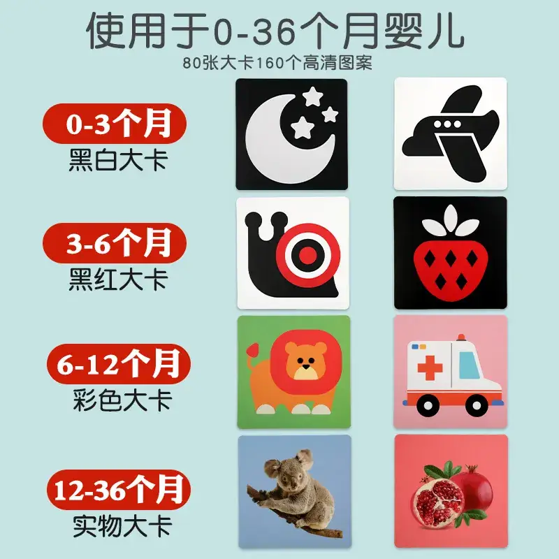 Black & White Baby Vision Card Training 0-3 Months