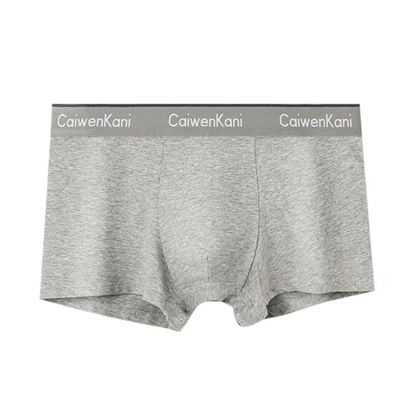 Men's Underwear Box Set Cotton Modal Four Corner