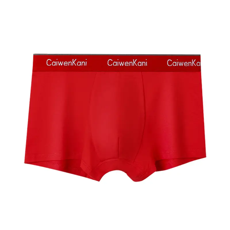 Men's Underwear Box Set Cotton Modal Four Corner