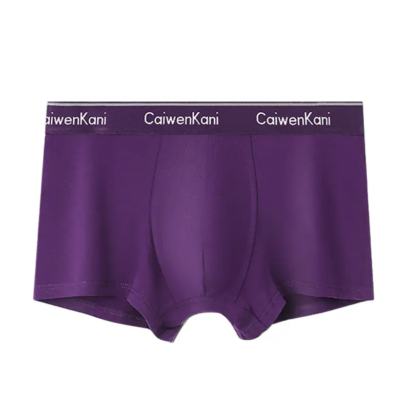 Men's Underwear Box Set Cotton Modal Four Corner