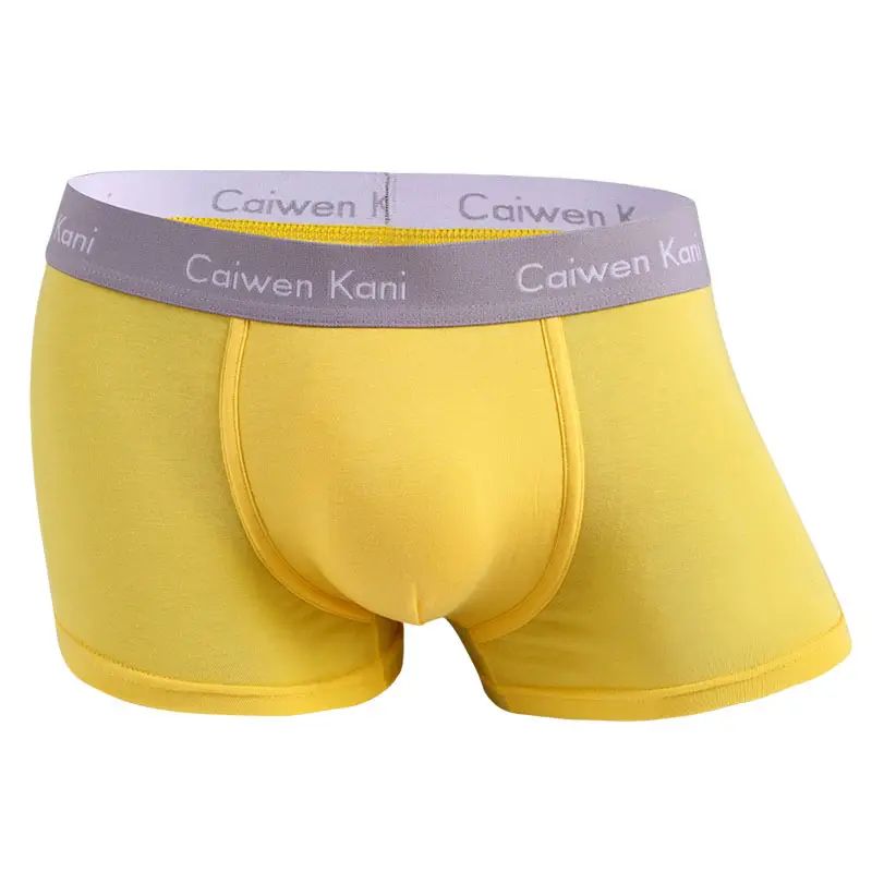 Men's Underwear Box Set Cotton Modal Four Corner
