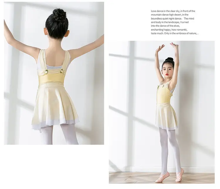 Girls Chinese Dance Wear Summer Short Sleeve Ballet Dress — feature 11