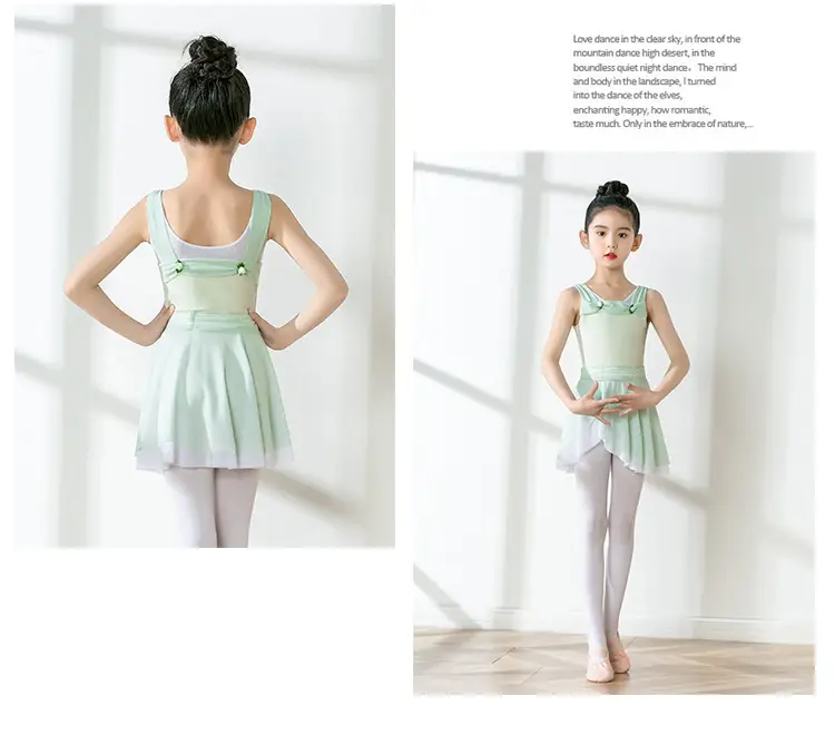Girls Chinese Dance Wear Summer Short Sleeve Ballet Dress — feature 9