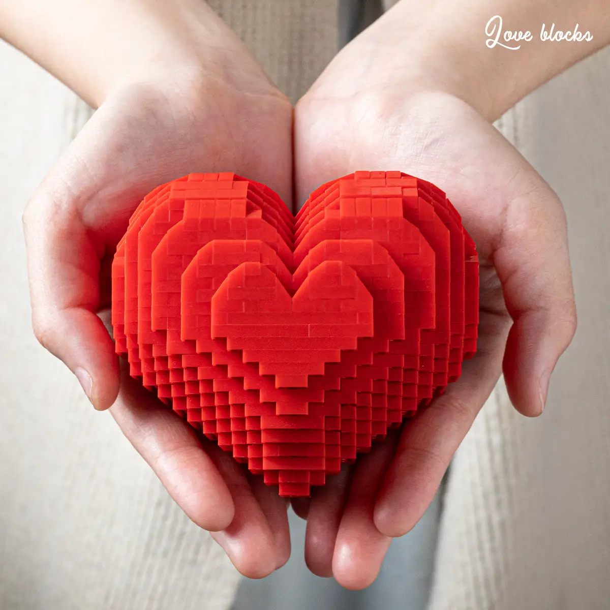 DIY LEGO Robot for Couples Love Gift — feature 16