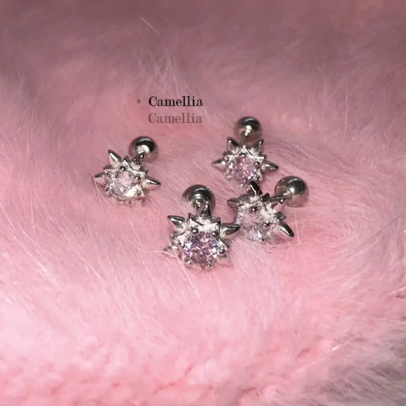 PinkDaliy Star Earrings with Zircon & Silver Plating — feature 13