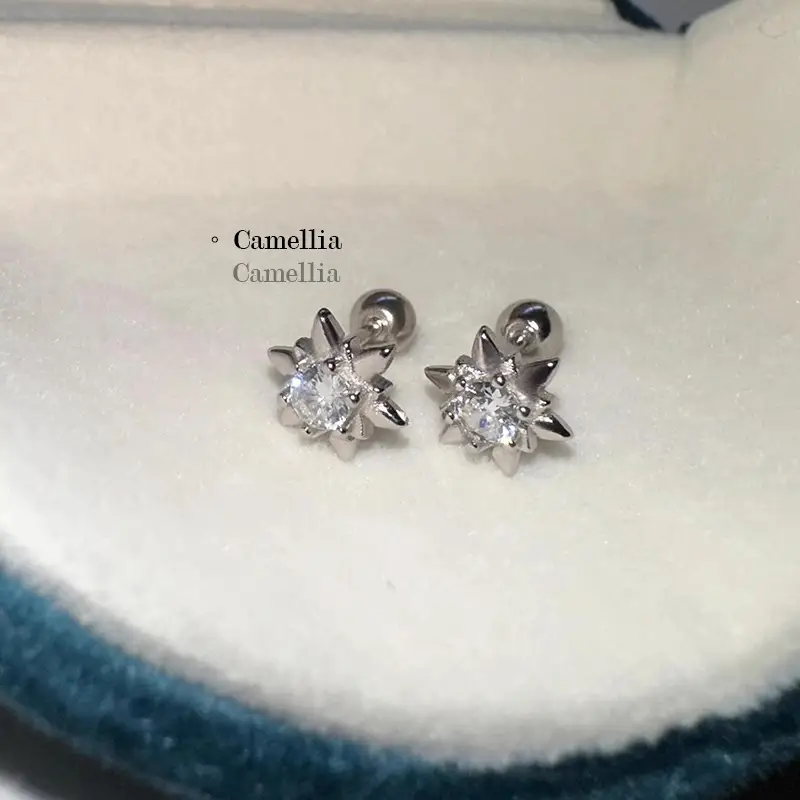 PinkDaliy Star Earrings with Zircon & Silver Plating — feature 14