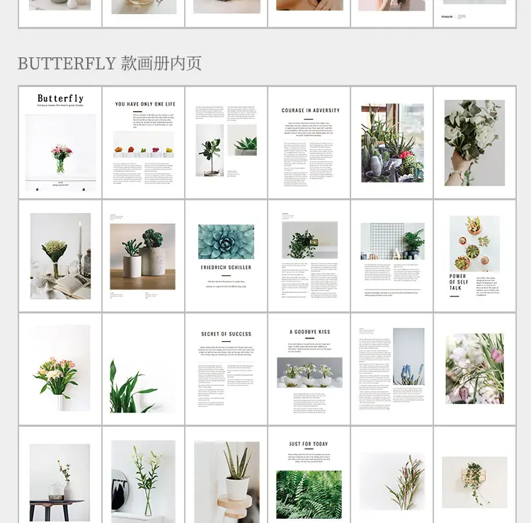 Butterfly Photo Book Decoration Wall Art — feature 17