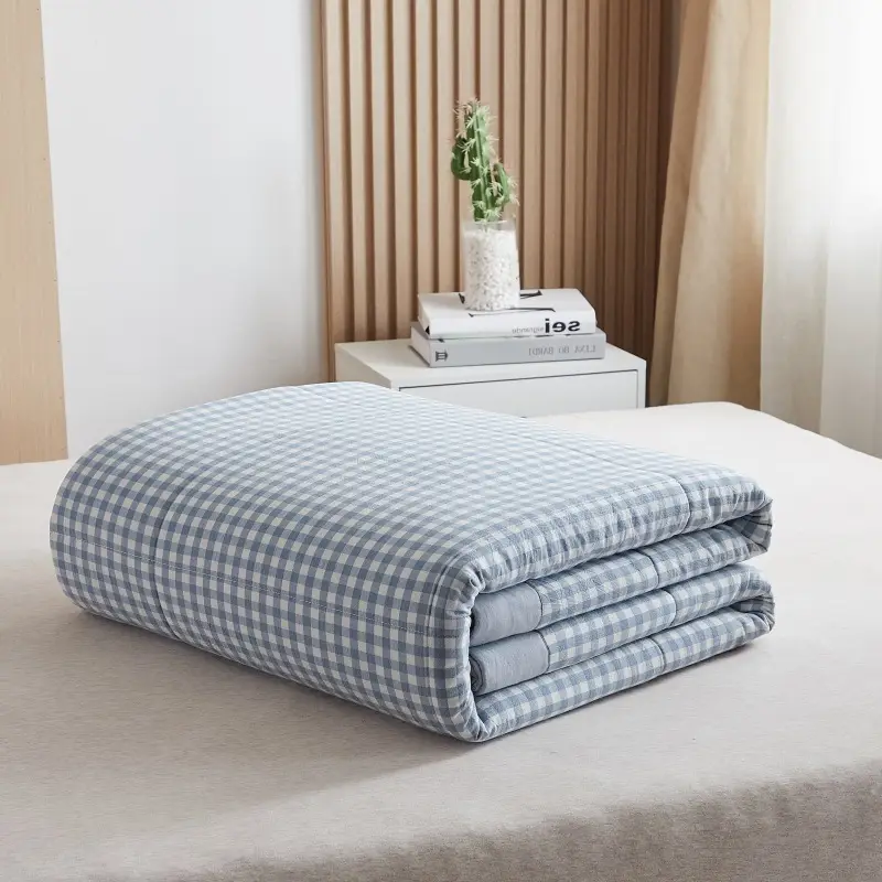 100 Xinjiang Wash Cotton Blue Plaid Quilt Single Double - Image 3