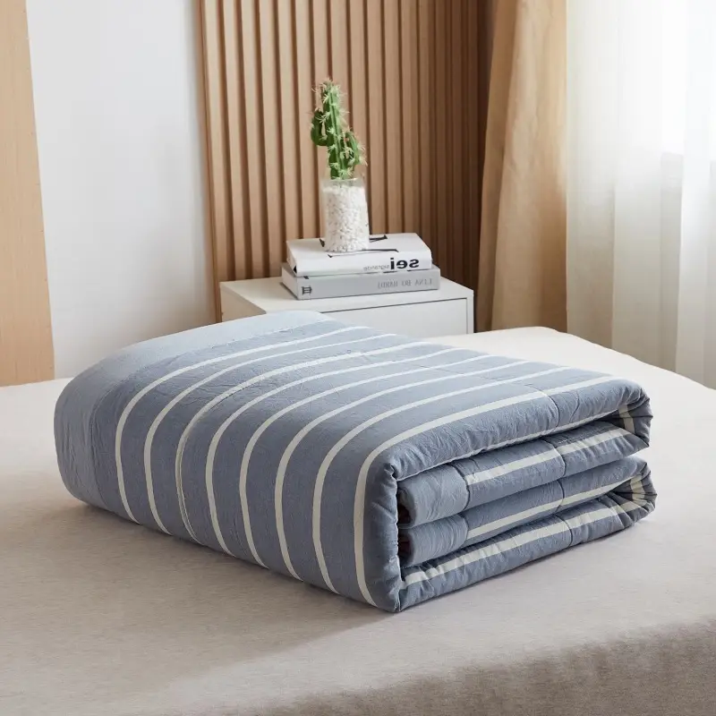 100 Xinjiang Wash Cotton Blue Plaid Quilt Single Double - Image 6