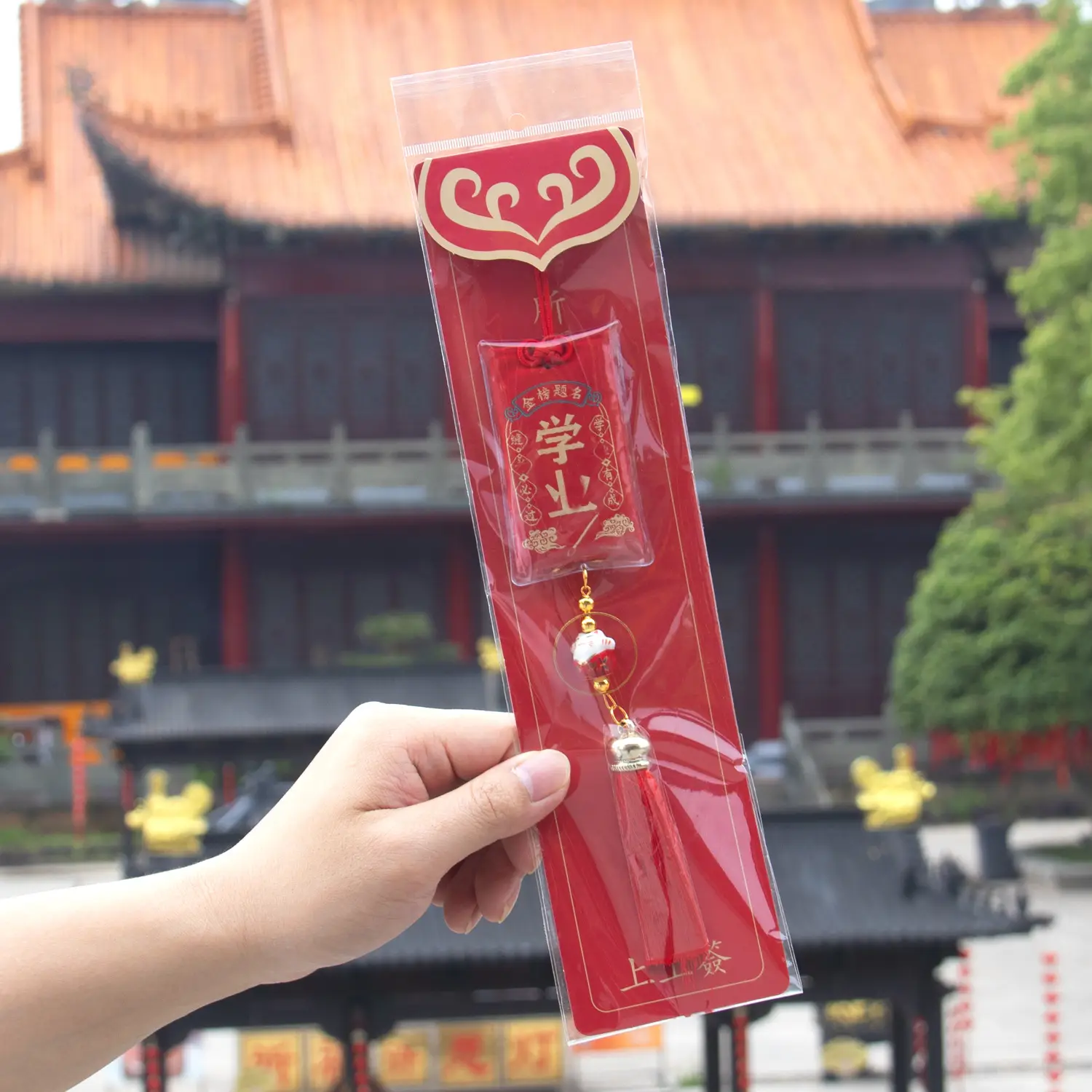 Lucky Tassel Bag with Prayer Body & Protection - Image 12