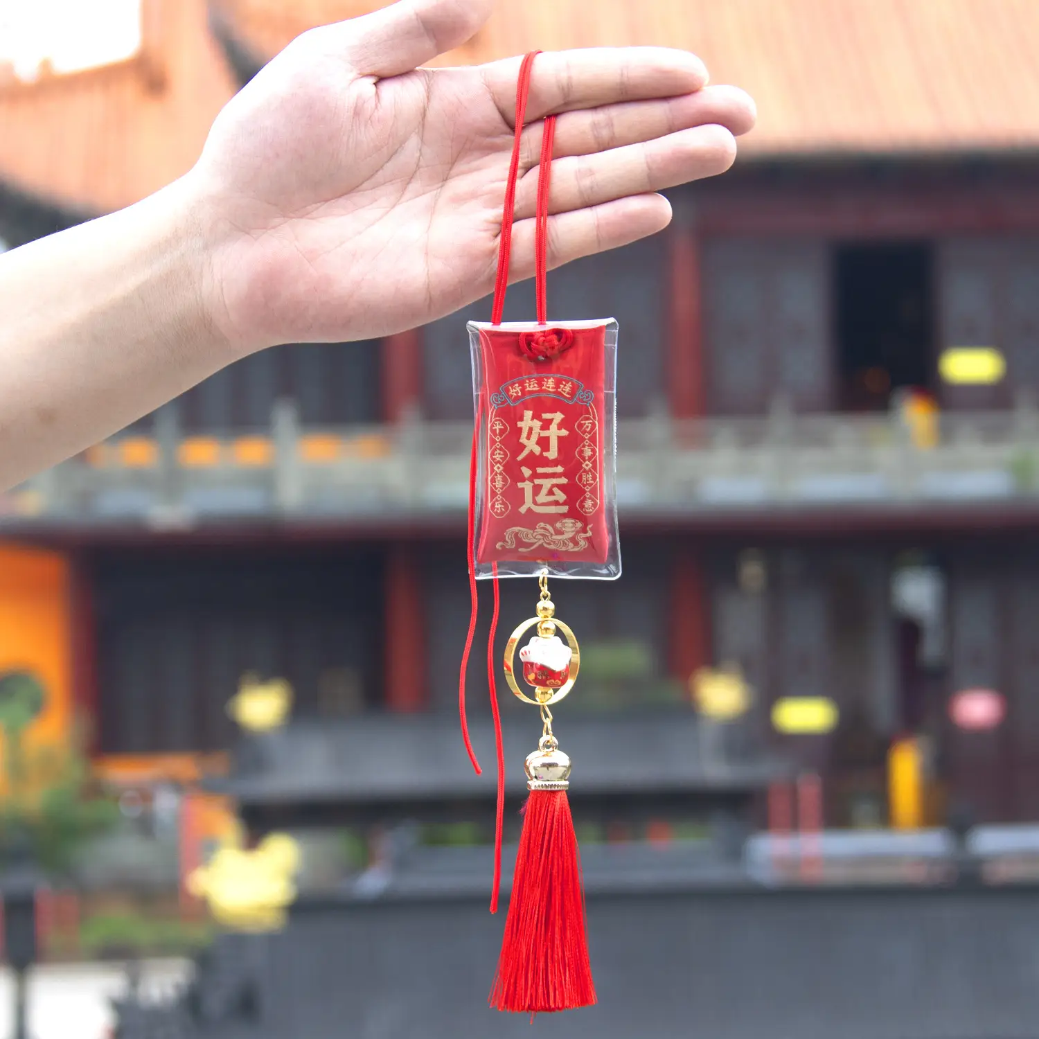 Lucky Tassel Bag with Prayer Body & Protection - Image 13