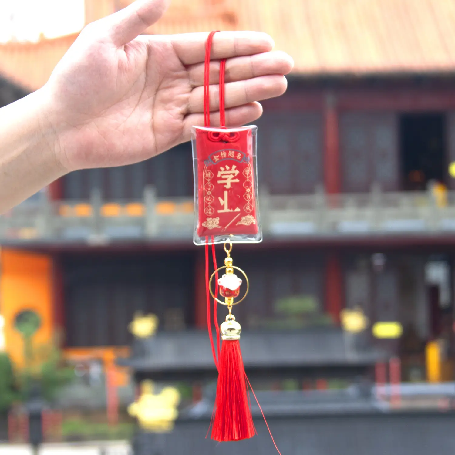 Lucky Tassel Bag with Prayer Body & Protection - Image 24